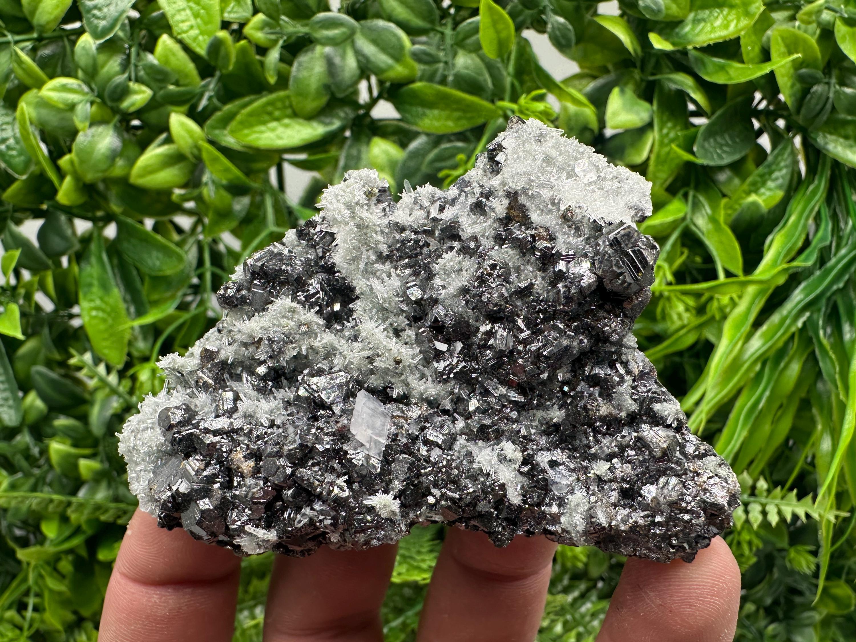 Sphalerite on Green Quartz, Madan Bulgaria, Mineral Specimen