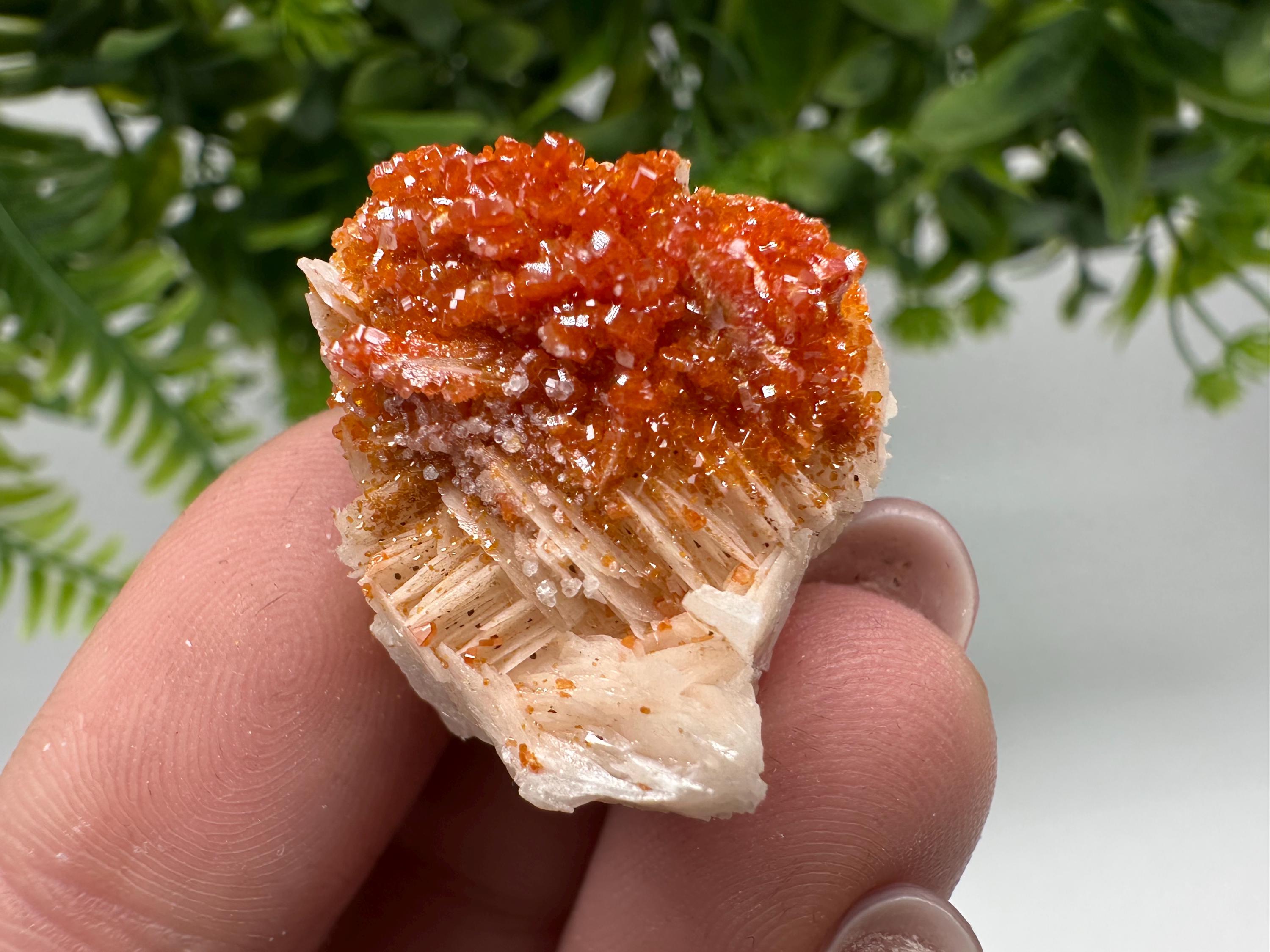 Red Vanadinite on Barite, Moroccan Crystal Specimen
