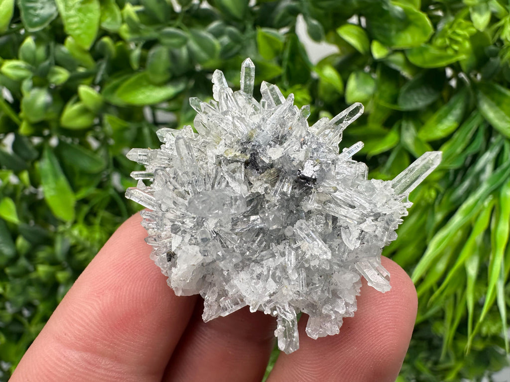 Chlorite Quartz Crystal Cluster - Borieva Mine, Bulgaria