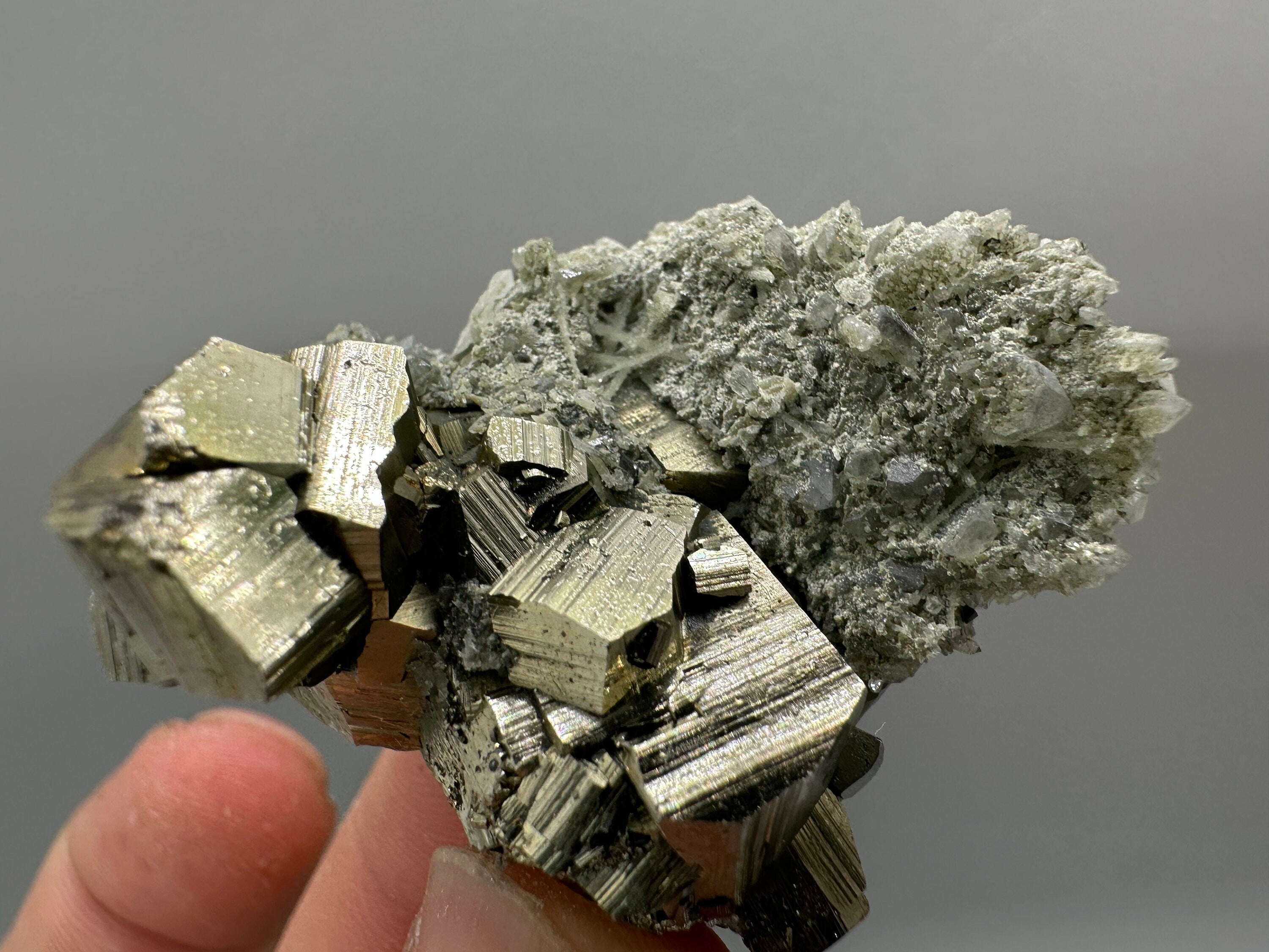 Golden Pyrite on Quartz with Chlorite - Borieva Mine Bulgaria