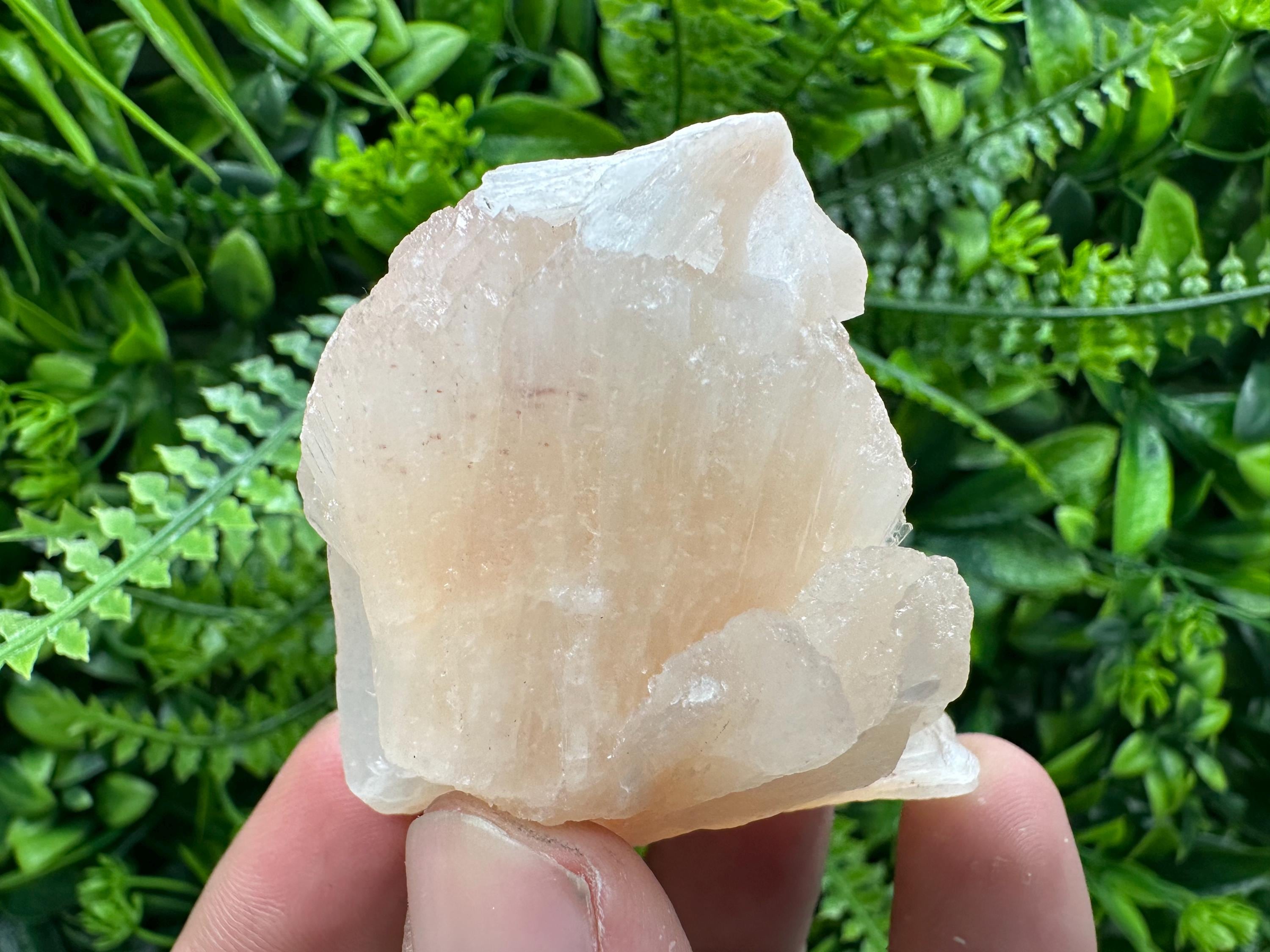 Stilbite Crystal on Matrix, India Minerals Specimen