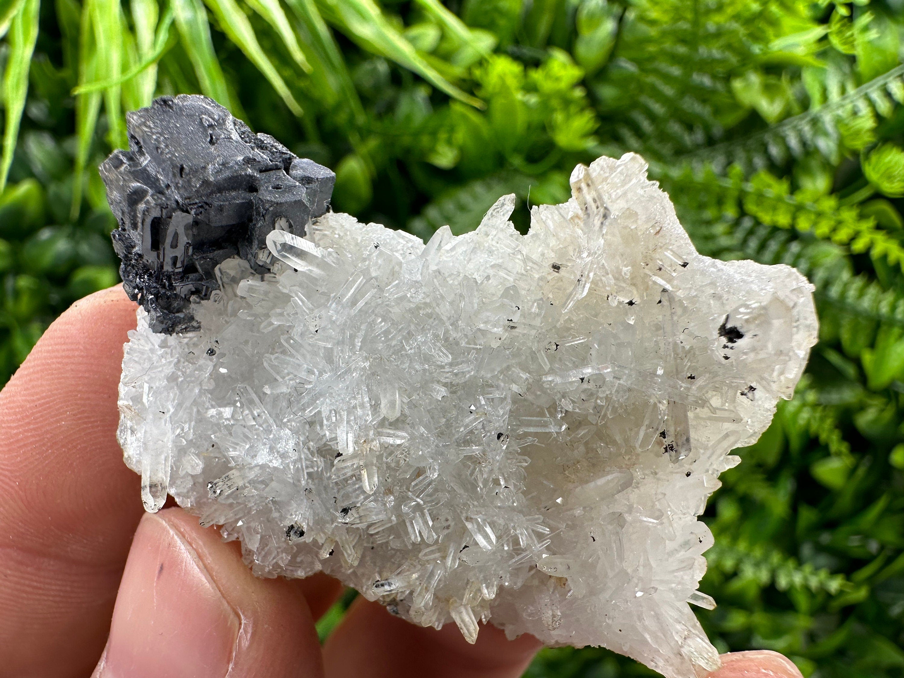 Galena on Quartz, Natural Crystal Mineral Specimen