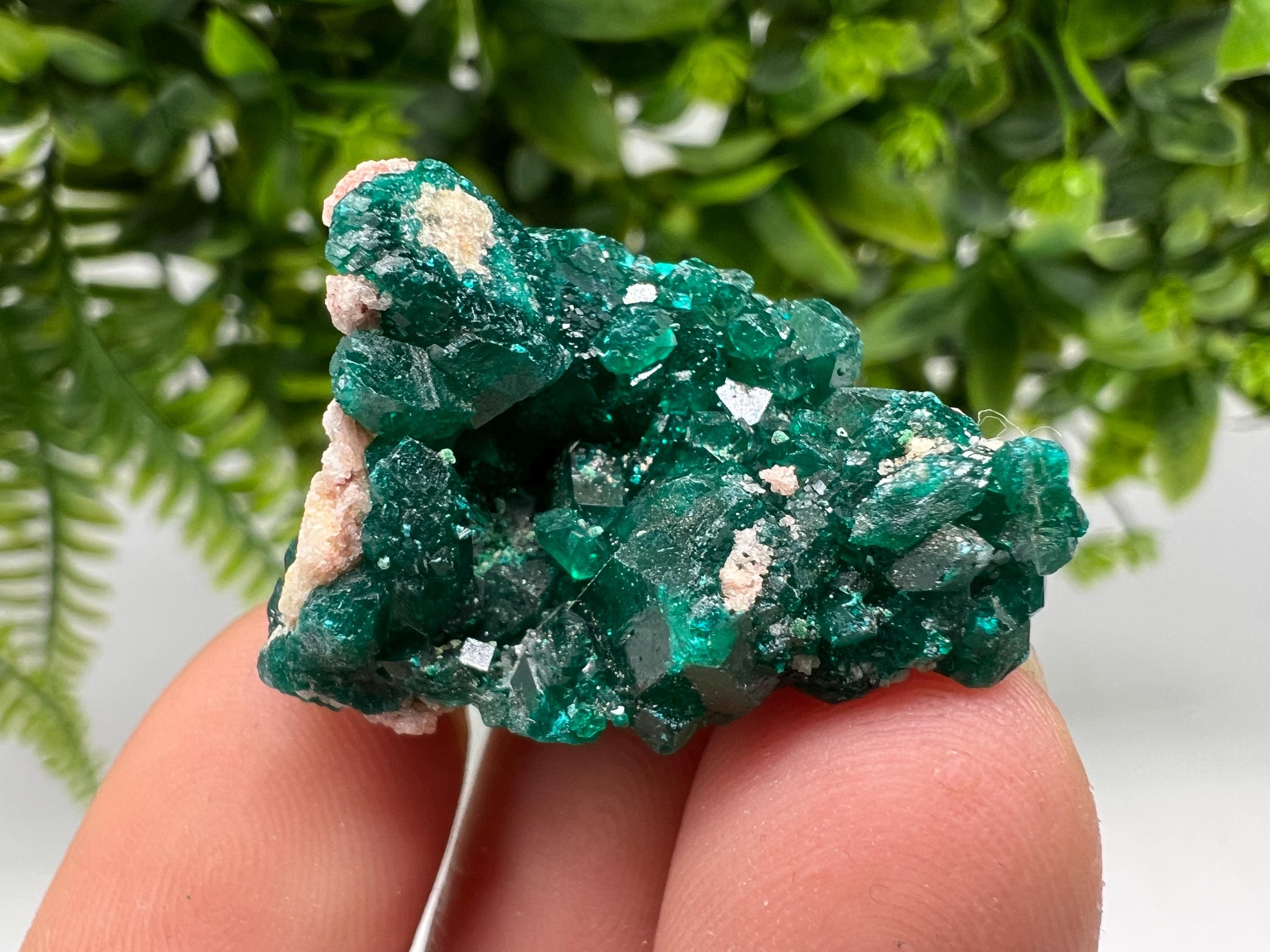 Stunning Green Dioptase from Sanda Hills,Mindouli,Pool Department,Mindouli District,Congo,green Dioptase,Dioptas Crystal,Dioptase collecting