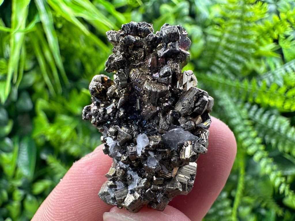 Pyrite Bornite Mineral Specimen: Borieva Mine, Bulgaria