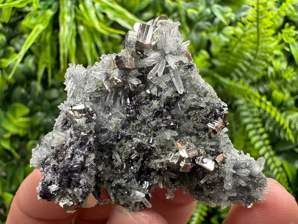 Pyrite Sphalerite Galena on Quartz: Bulgaria Borieva Mine Crystal Cluster