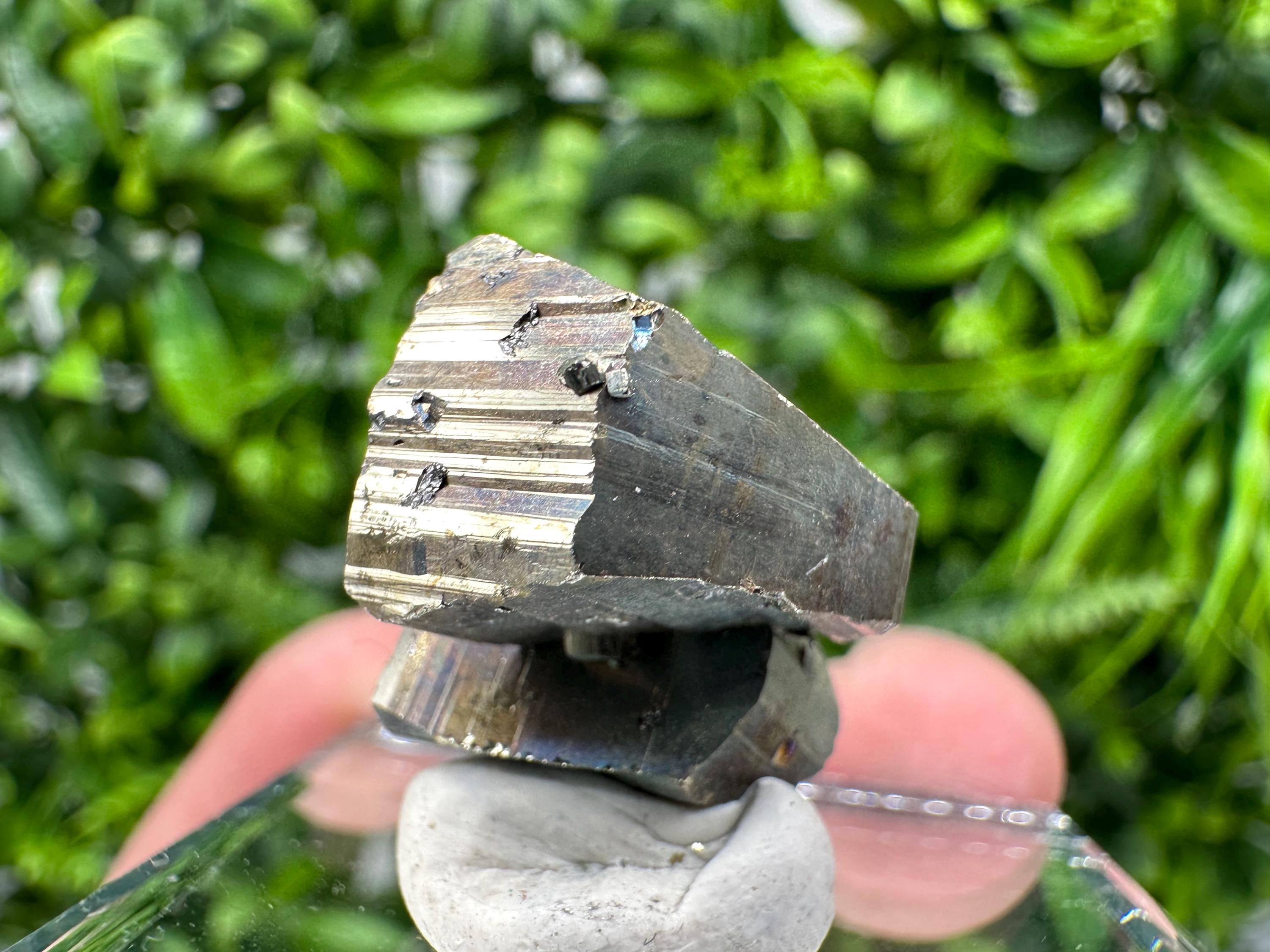 Mini Crystallization Pyrite Specimen, Borieva Mine, Bulgaria