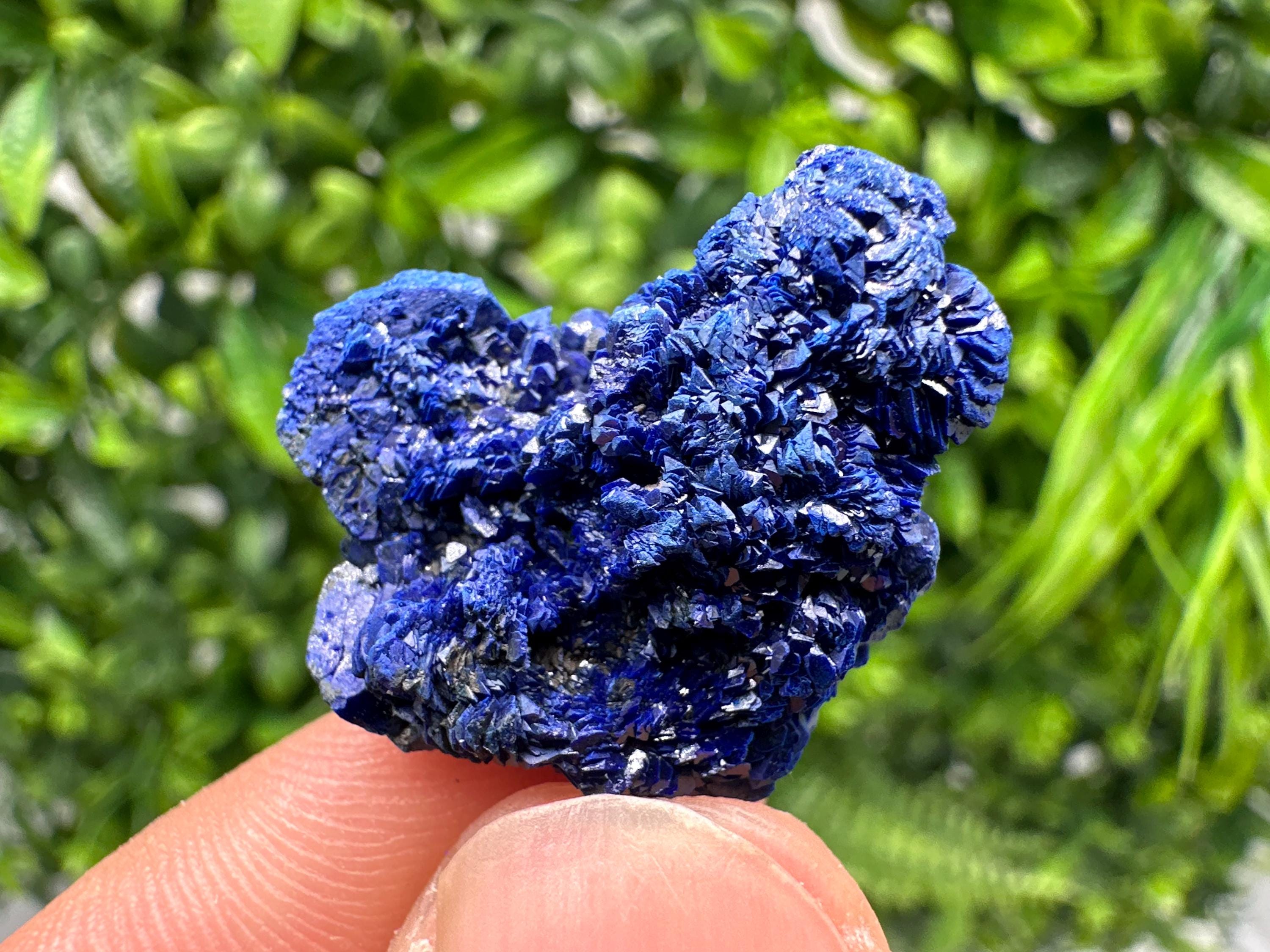 Crystallized Azurite-Kerrouchen,Morocco-Blue Azurite Specimen-High Quality Blue Azurite-Azurite Mineral Specimen, gemmy,lustrous of Azurite