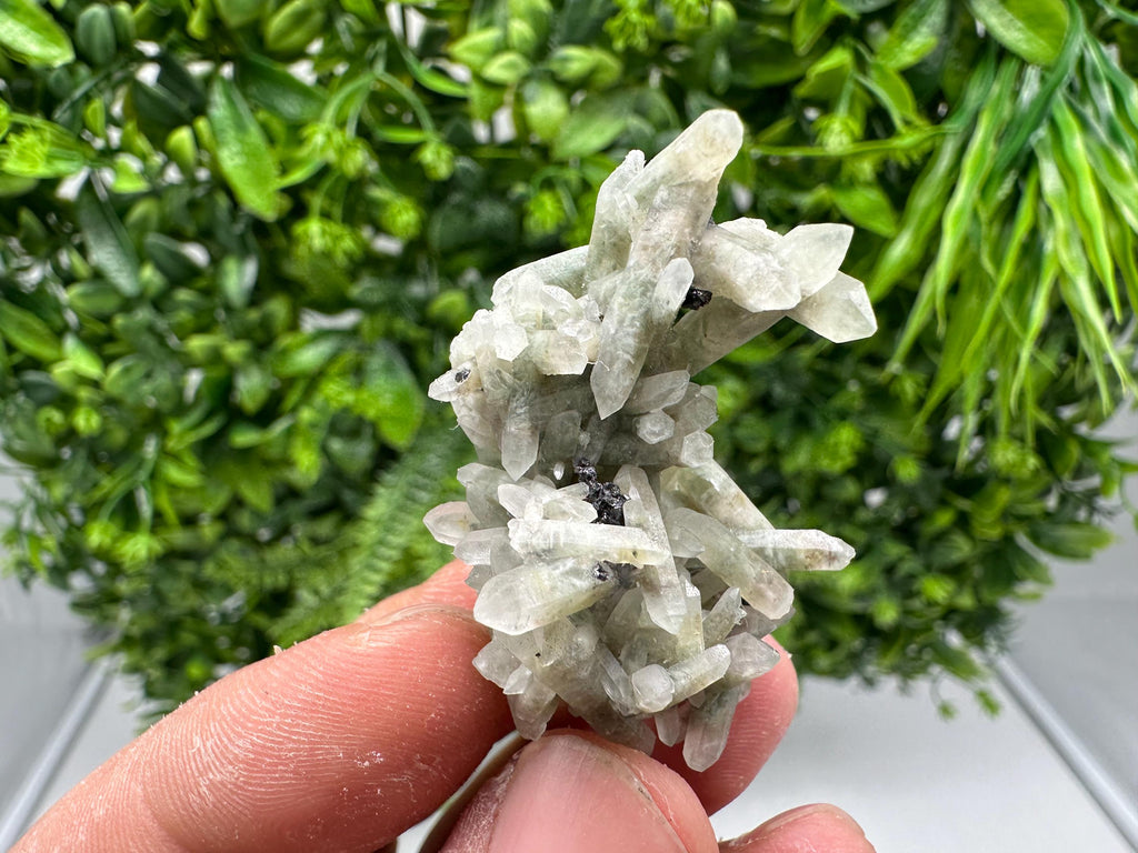 Wonderful Transparent Quartz on Chlorite Matrix,From Borieva mine,Madan,Bulgaria,Quartz,Quartz crystal,mineral specimen,collection quartz