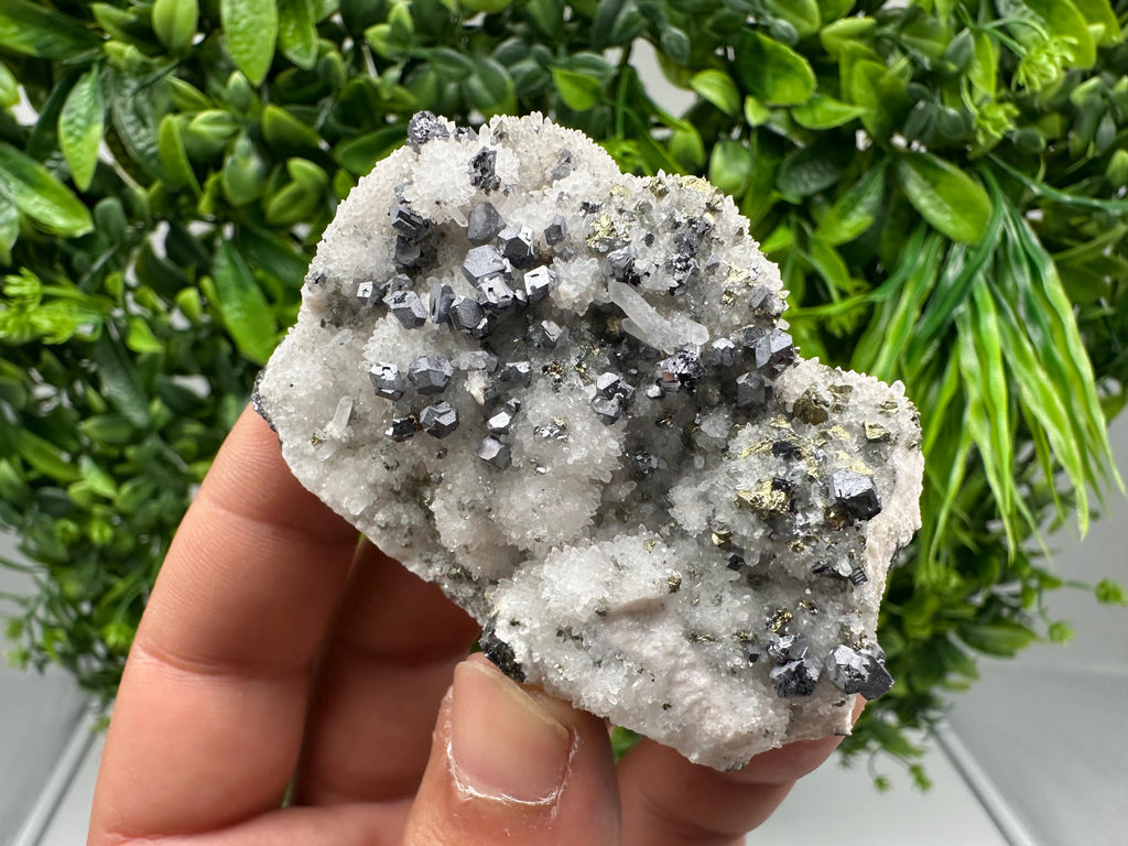 Rare,collection Galena on Chalcedony from Krushev dol mine,Madan,Bulgaria,Natural mineral specimen,geology,crystal,home decor,gift