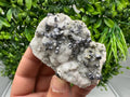Rare,collection Galena on Chalcedony from Krushev dol mine,Madan,Bulgaria,Natural mineral specimen,geology,crystal,home decor,gift