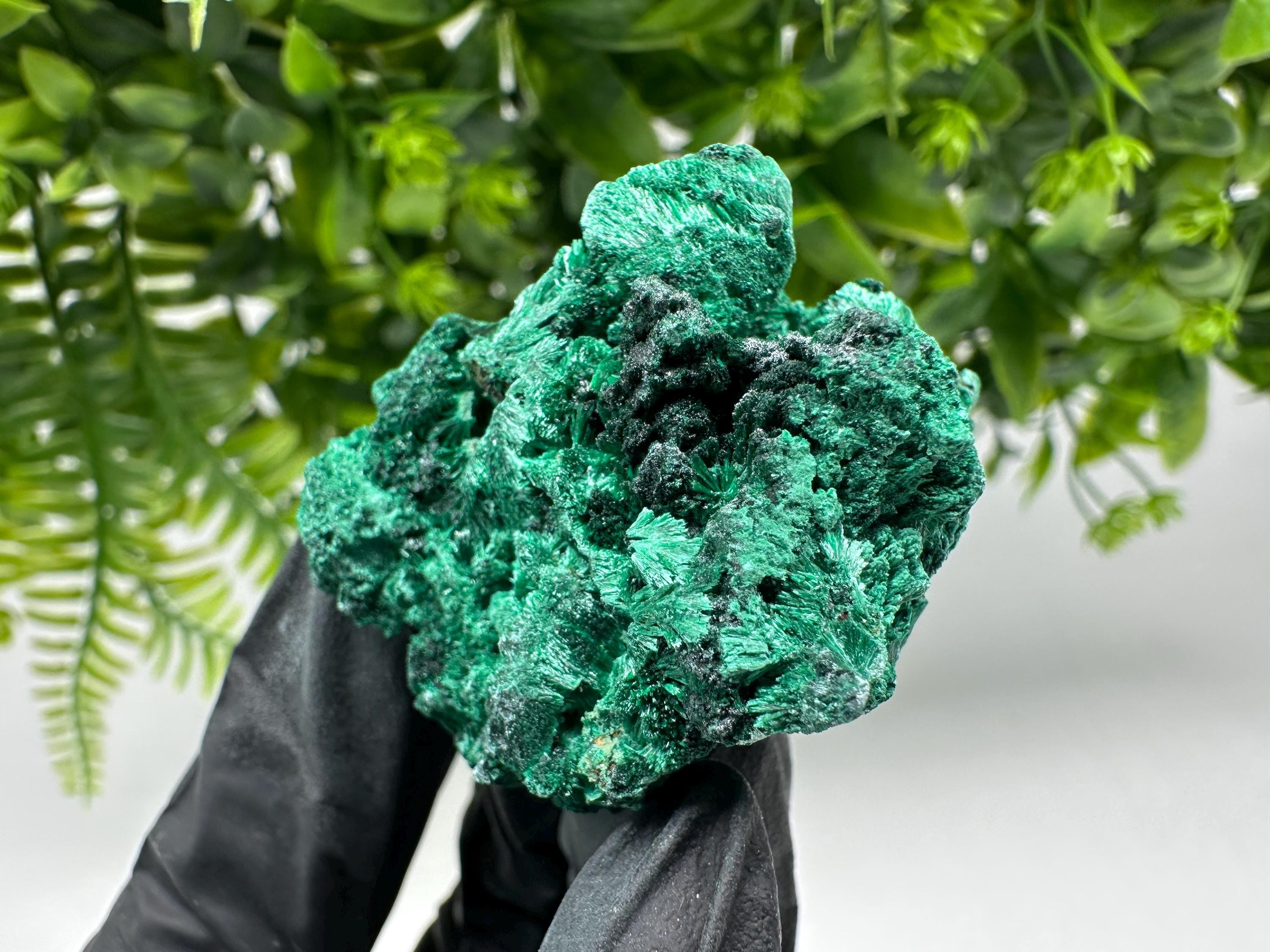 Malachite Crystal from Congo,Minerals,Crystals from Congo,Green Malachite, Malachite,Natural Malachite,Malachite Stone,Chakra, Specimens