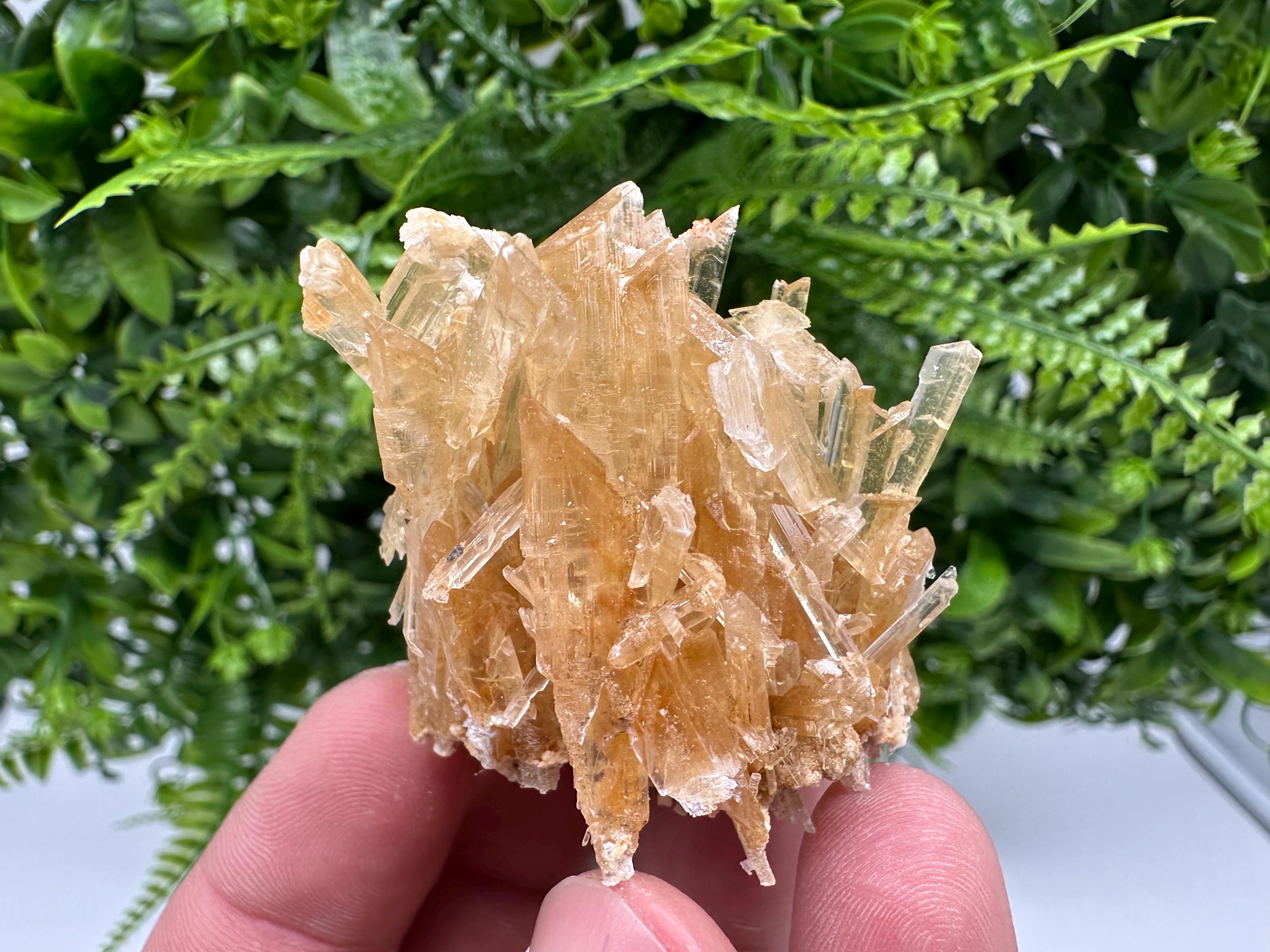Brown Gypsum Selenite Crystal, Rudna Mine Poland, Mineral Specimen