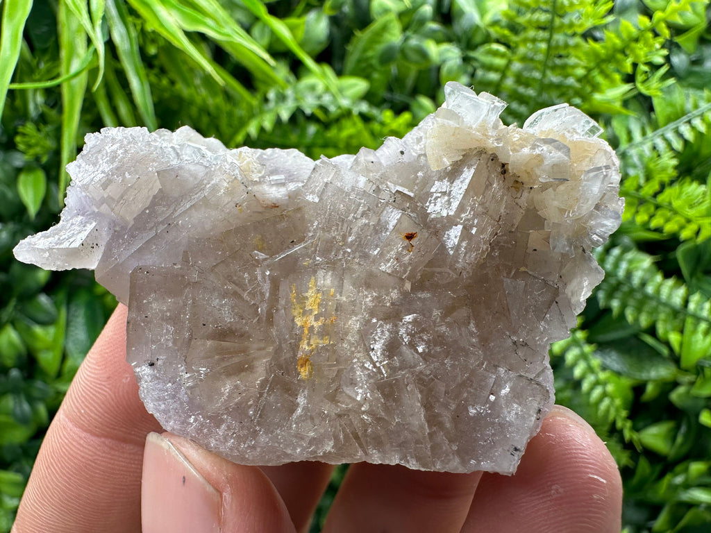 Spanish Fluorite Mineral Specimen: Crystal Collection
