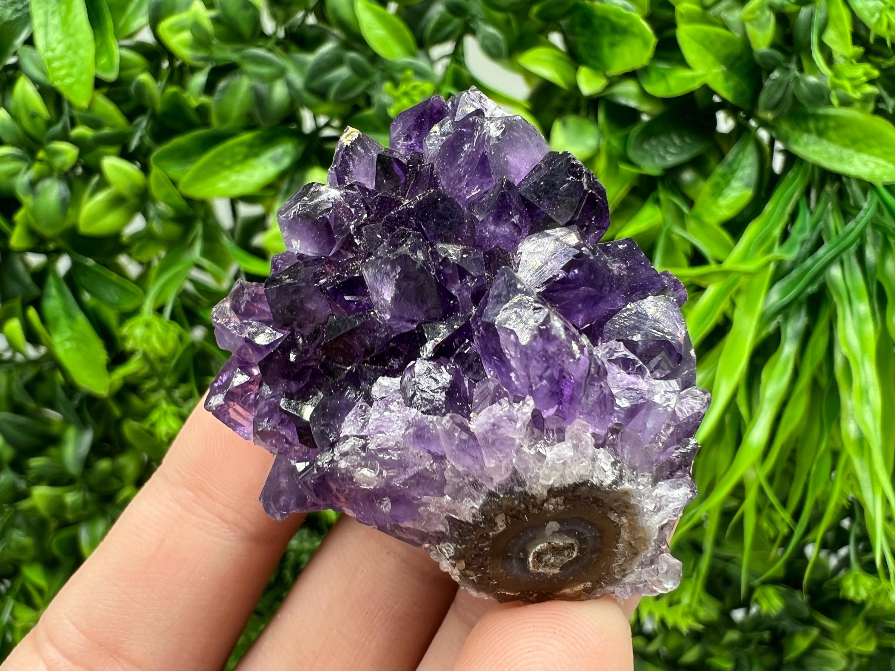 Uruguay Amethyst Crystal: Purple Quartz Home Decor, Energy Stone