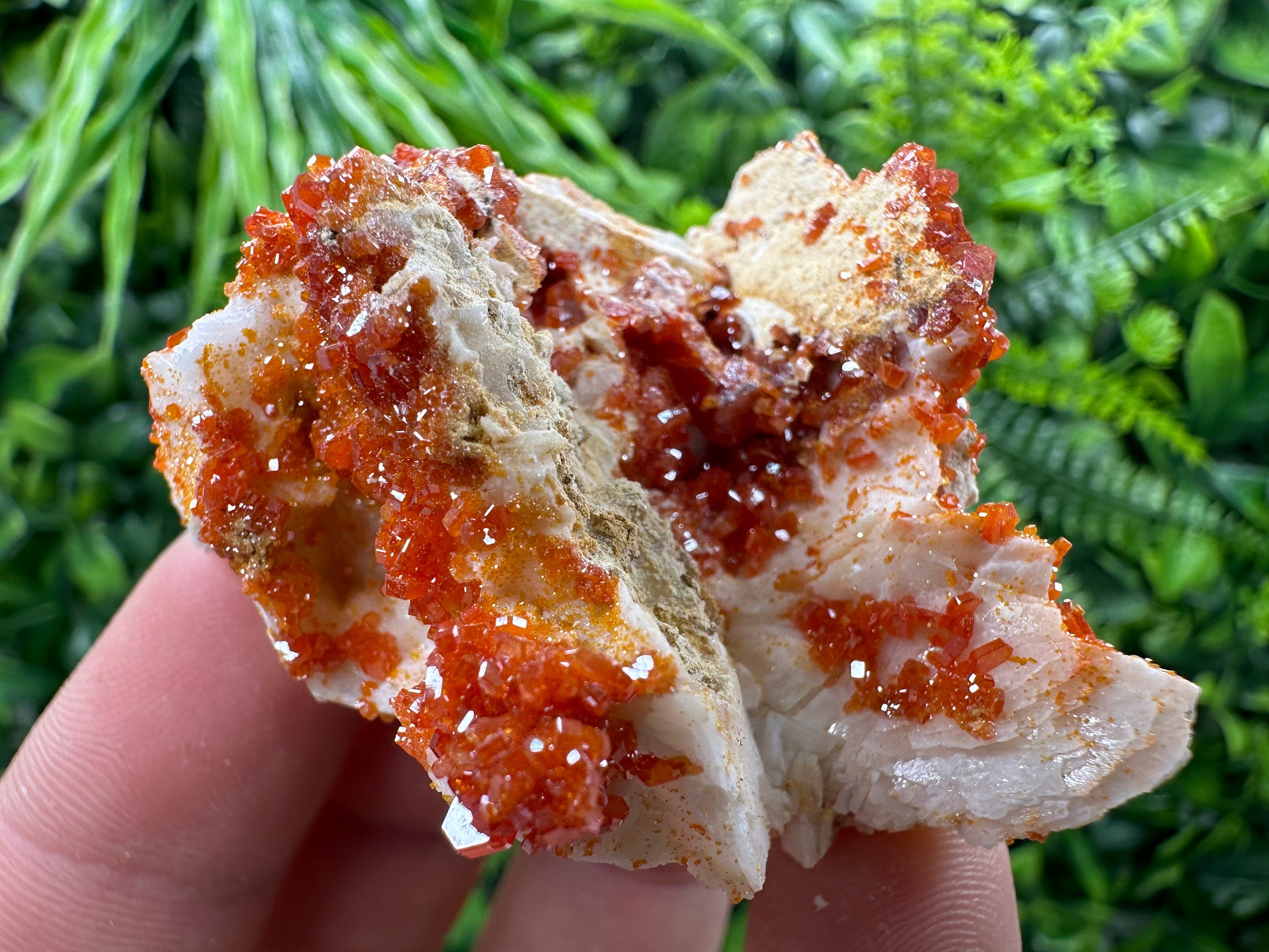 Red Vanadinite Crystal Cluster on Matrix, Morocco Mineral Specimen