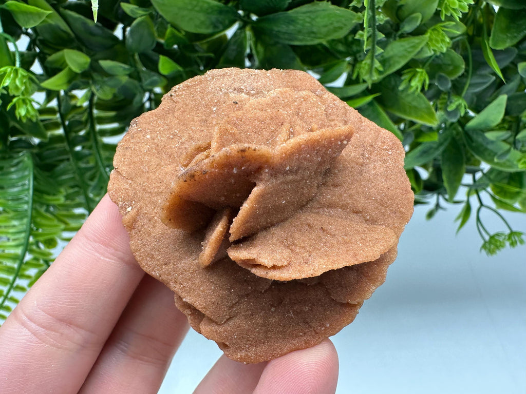 Natural Desert Rose Crystal – Root Chakra Healing Selenite Stone