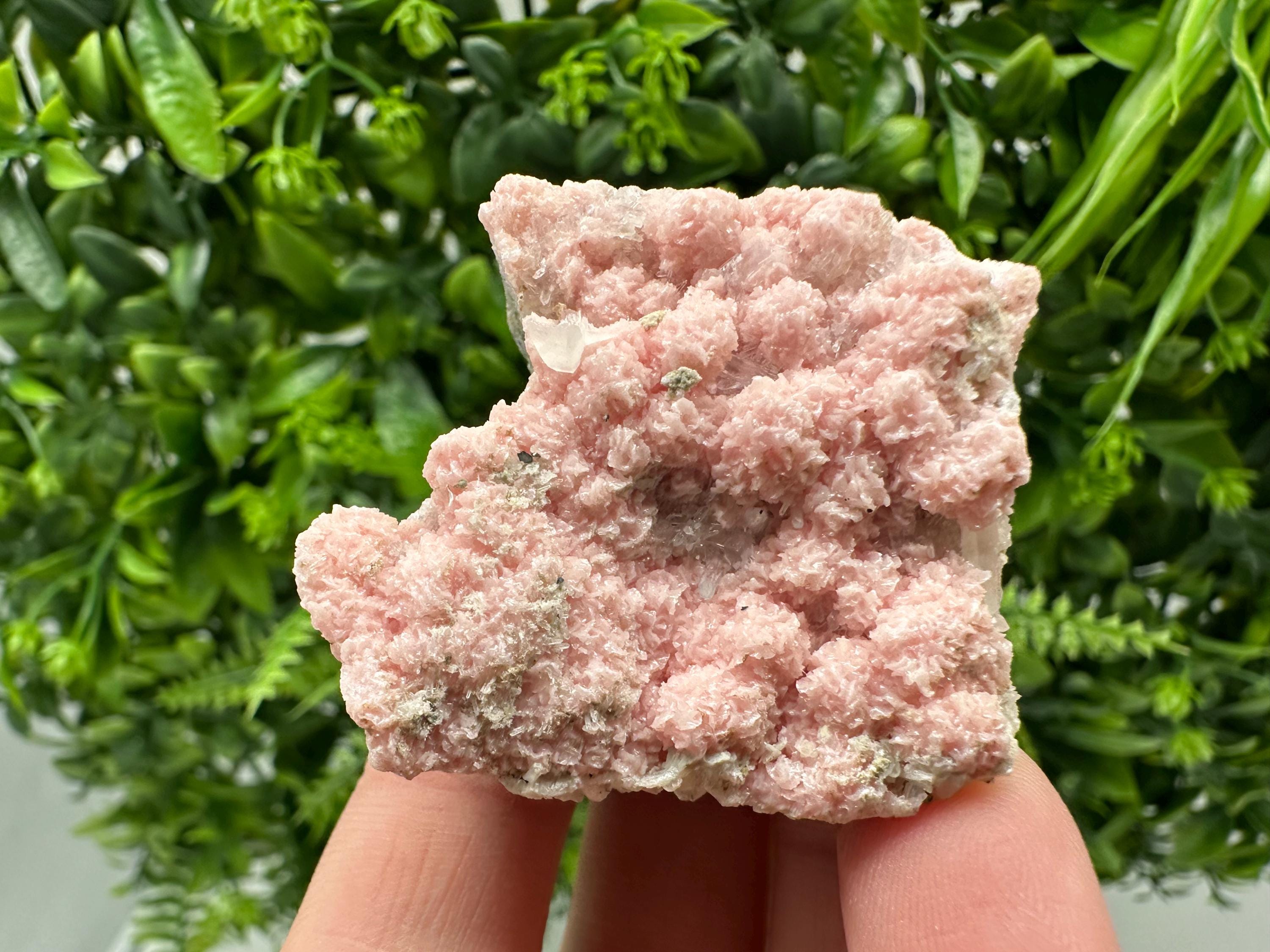 Pink Rhodochrosite Crystal: Starnica Mine, Bulgaria, Home Decor