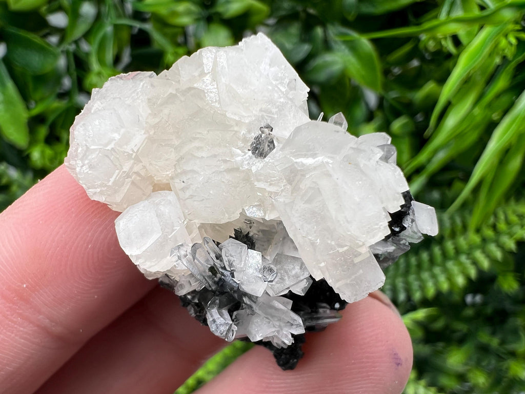 Quartz Crystal with Calcite and Chlorite - Borieva Mine, Bulgaria
