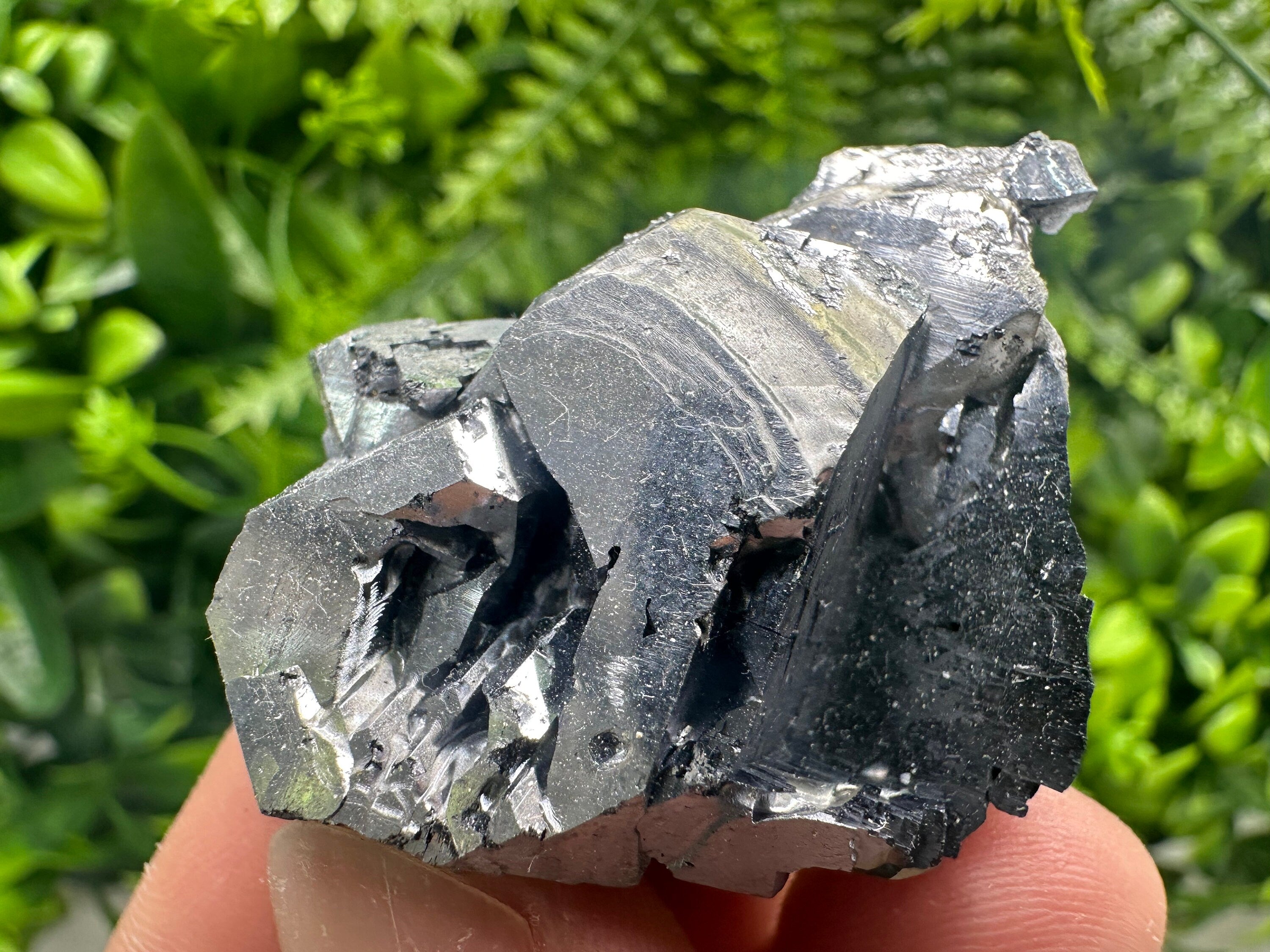 Galena on Sphalerite and Quartz, Borieva Mine Mineral Specimen