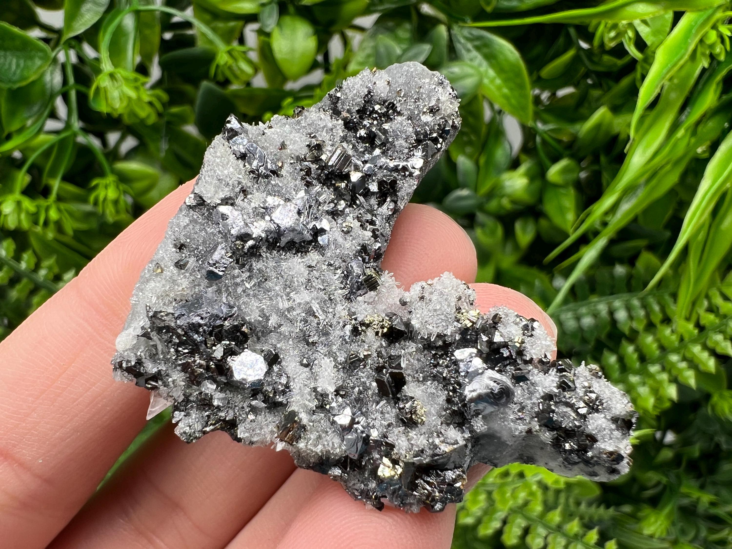Galena Sphalerite on Quartz, Borieva Mine Bulgaria