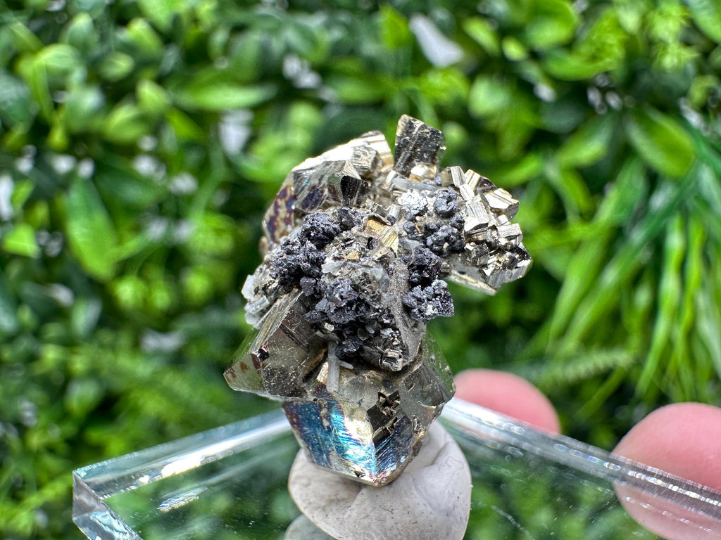 Rare Rainbow Pyrite Cluster: Borieva Mine, Bulgaria