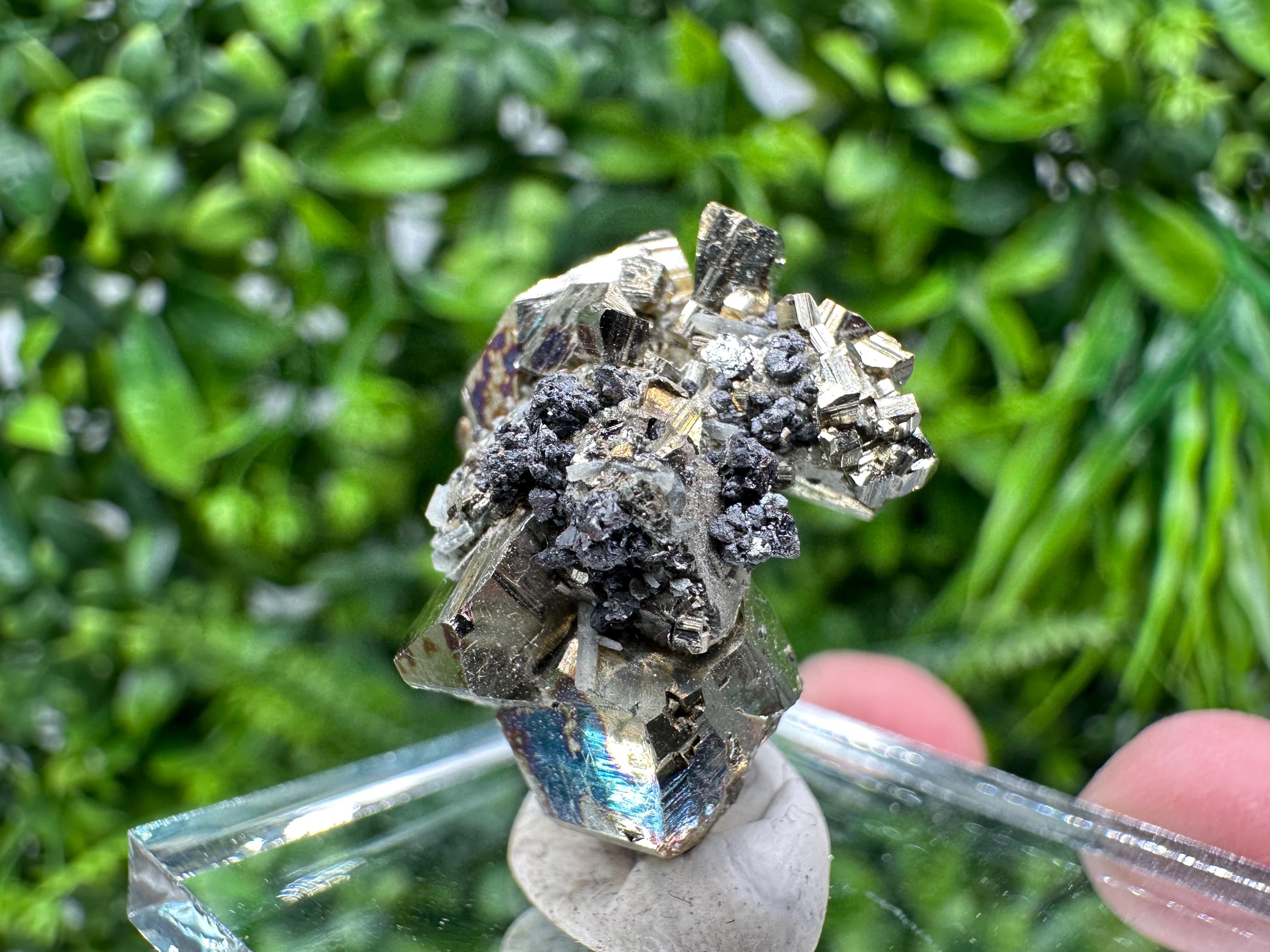 Rare Rainbow Pyrite Cluster: Borieva Mine, Bulgaria