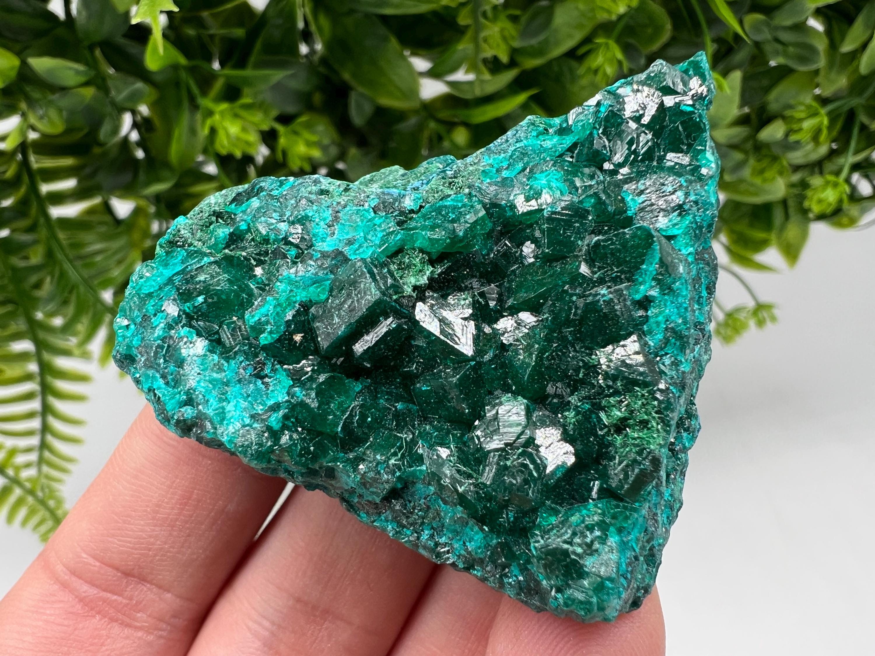 Stunning Green Dioptase from Sanda Hills,Mindouli,Pool Department,Mindouli District,Congo,green Dioptase,Dioptas Crystal,Dioptase collecting