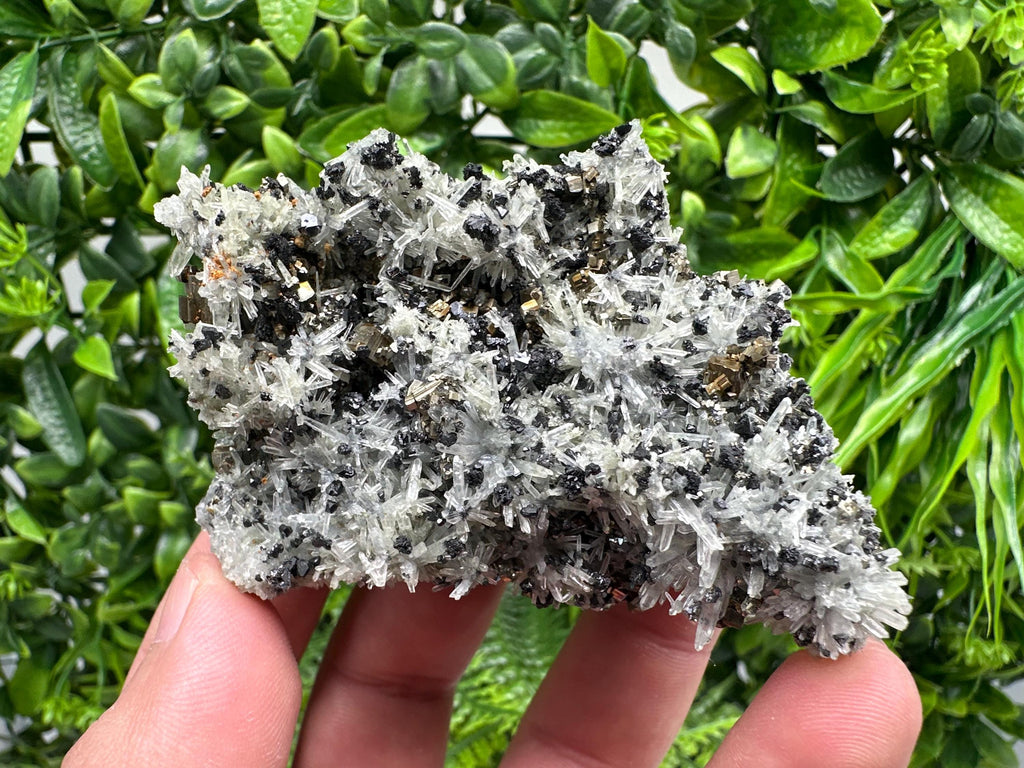 Pyrite on Needle Quartz, Madan Bulgaria, Mineral Specimen