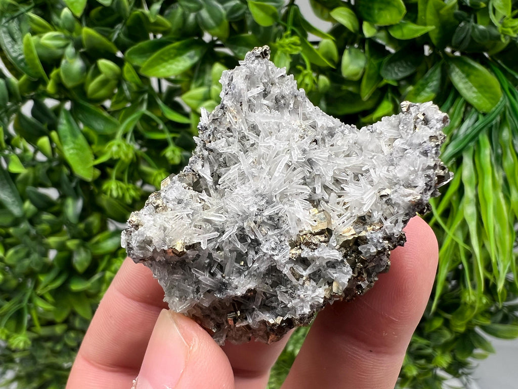 Pyrite on Green Quartz Mineral Specimen, Borieva Mine Bulgaria