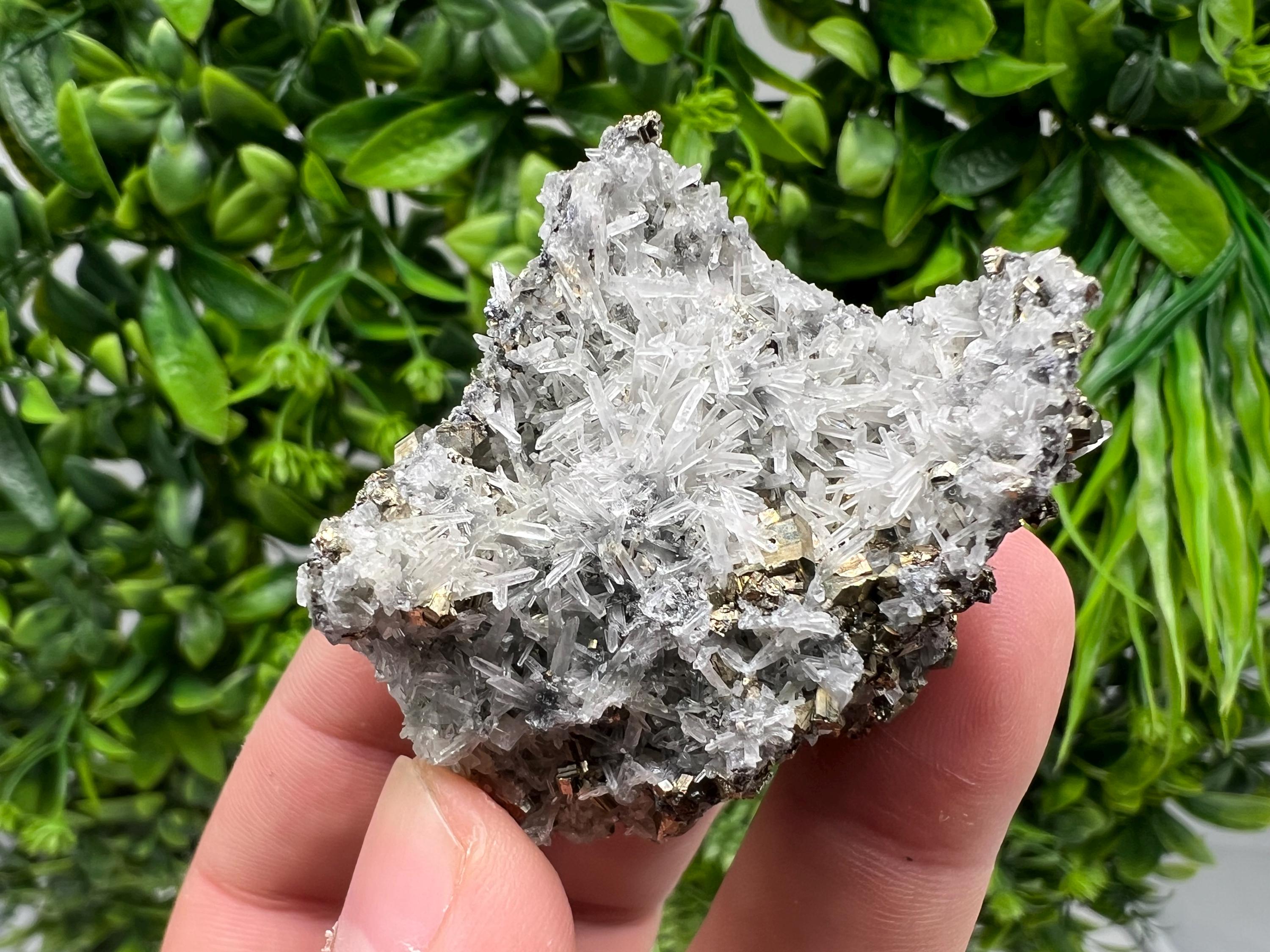 Pyrite on Green Quartz Mineral Specimen, Borieva Mine Bulgaria