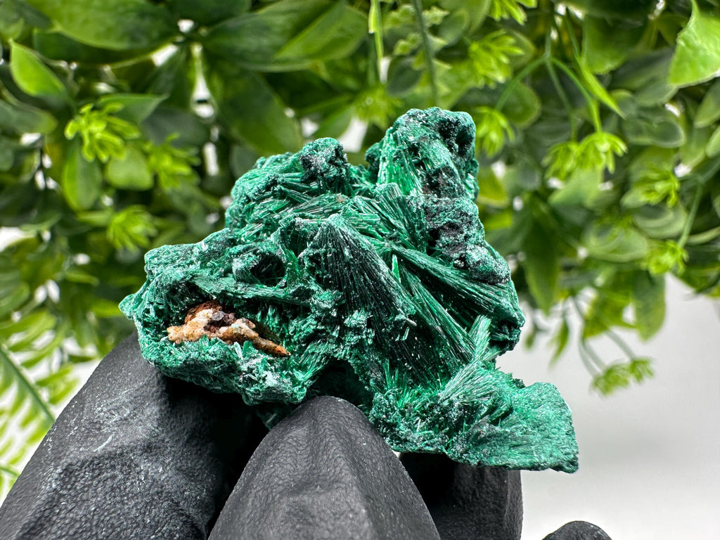 Malachite Crystal from Congo,Minerals,Crystals from Congo,Green Malachite, Malachite,Natural Malachite,Malachite Stone,Chakra, Specimens