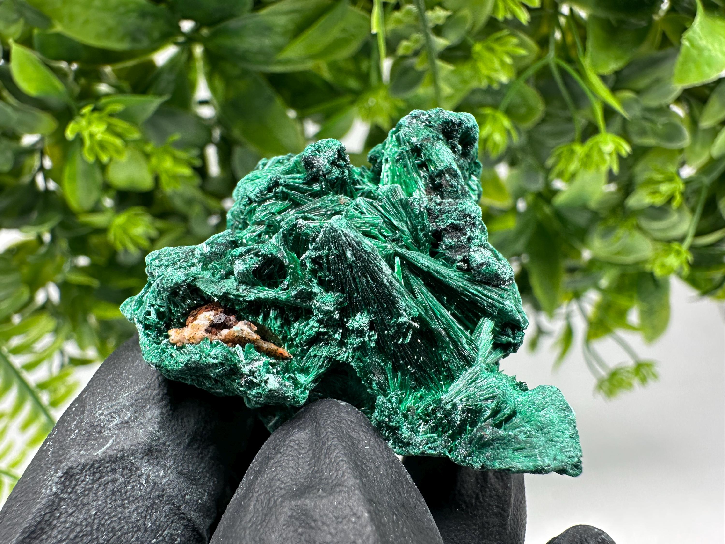 Malachite Crystal from Congo,Minerals,Crystals from Congo,Green Malachite, Malachite,Natural Malachite,Malachite Stone,Chakra, Specimens
