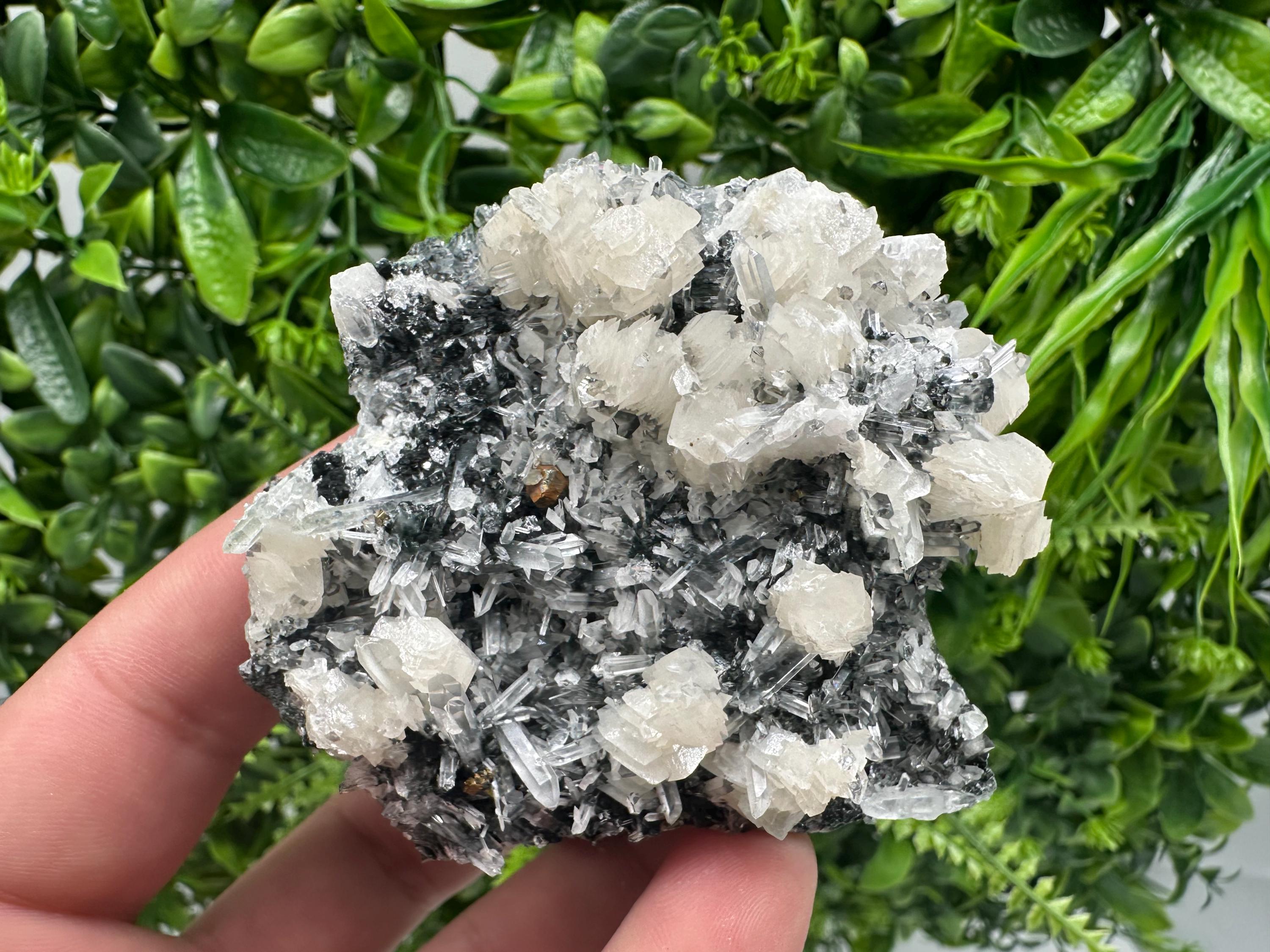 UV Fluorescence Calcite on Sphalerite Quartz, Borieva Bulgaria Mineral Specimen