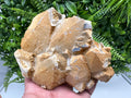 Limonite Coated Quartz Crystal, Djurcovo Mine, Bulgaria
