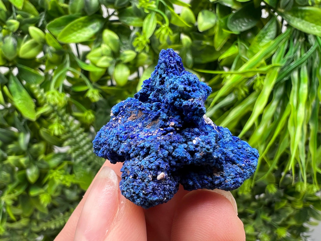 Crystallized Azurite-Kerrouchen,Morocco-Blue Azurite Specimen-High Quality Blue Azurite-Azurite Mineral Specimen, gemmy,lustrous of Azurite