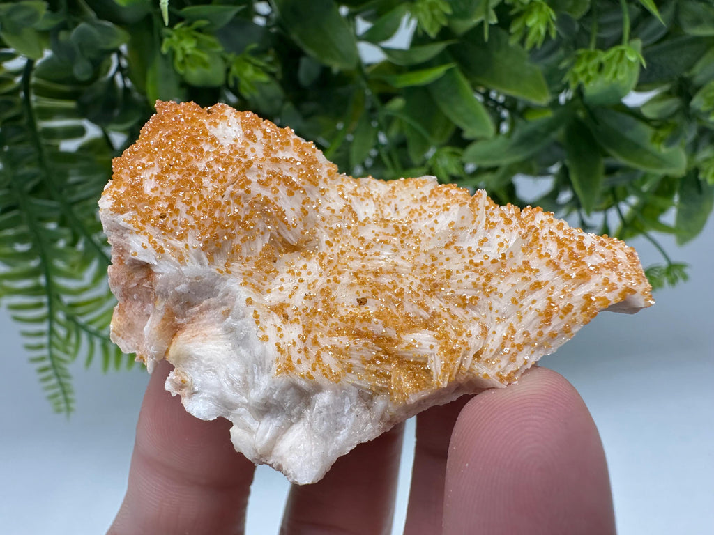 Red Vanadinite on Barite Crystal Specimen from Morocco, Mineral Cluster
