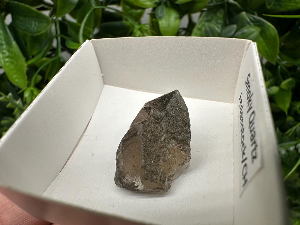Rare Fedenstock Smoky Quartz Point, Swiss Mineral Specimen (25MM)
