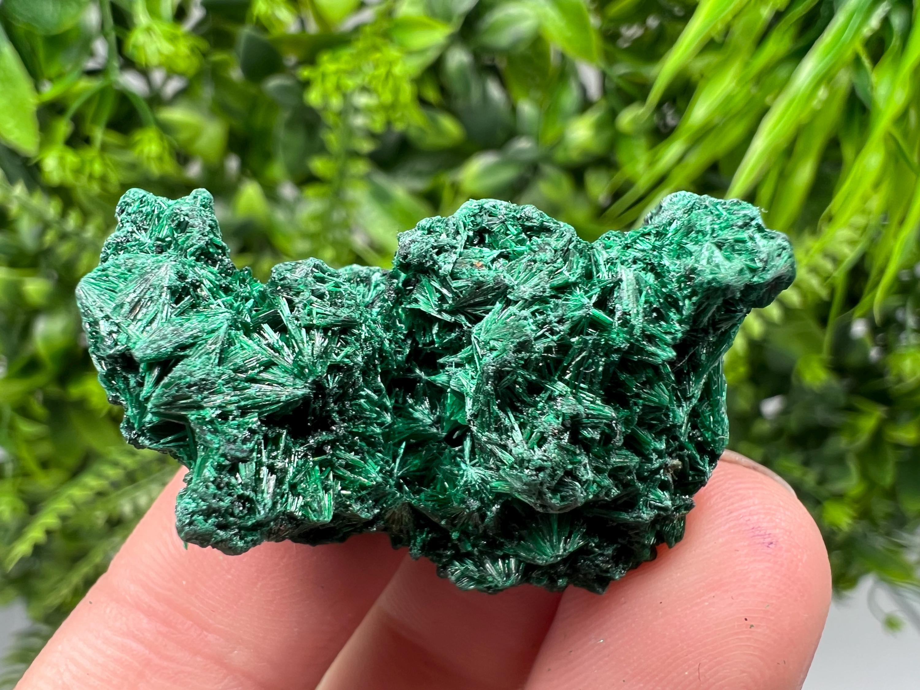 Malachite Crystal from Congo,Minerals,Crystals from Congo,Green Malachite, Malachite,Natural Malachite,Malachite Stone,Chakra, Specimens