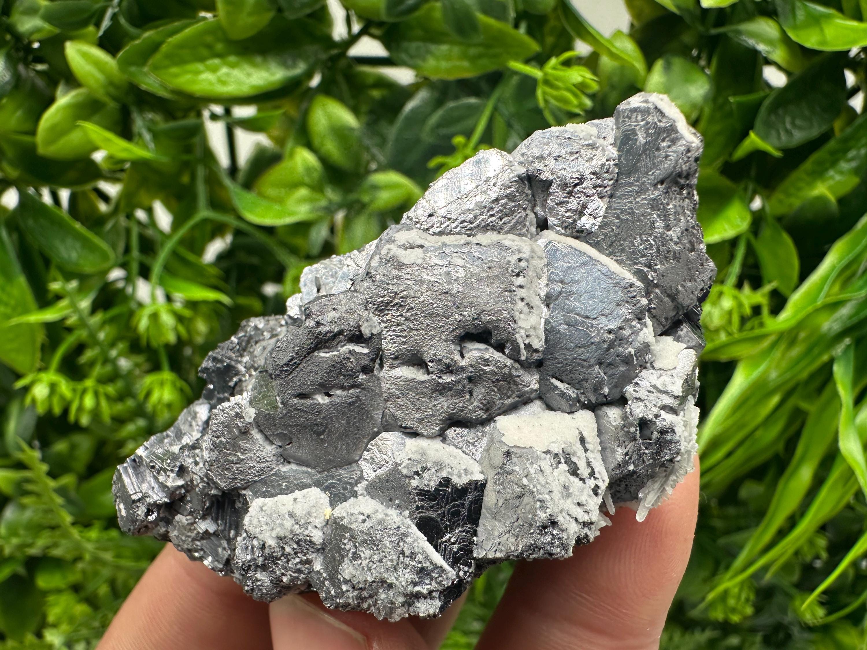 Galena with Quartz Specimen: Krushev Dol Mine, Bulgaria