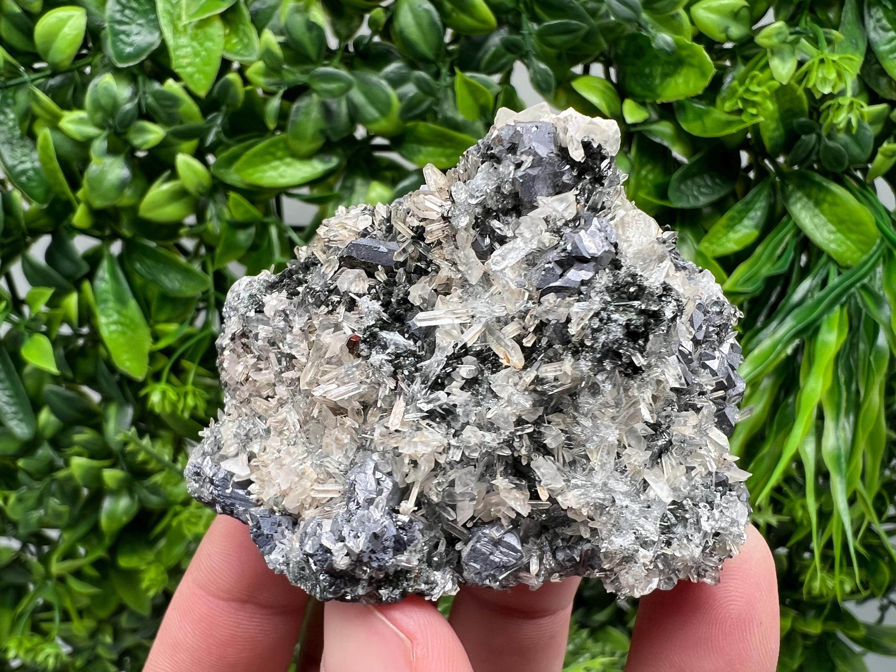 Galena Chalcopyrite on Calcite and Quartz, Bulgaria Mineral Specimen