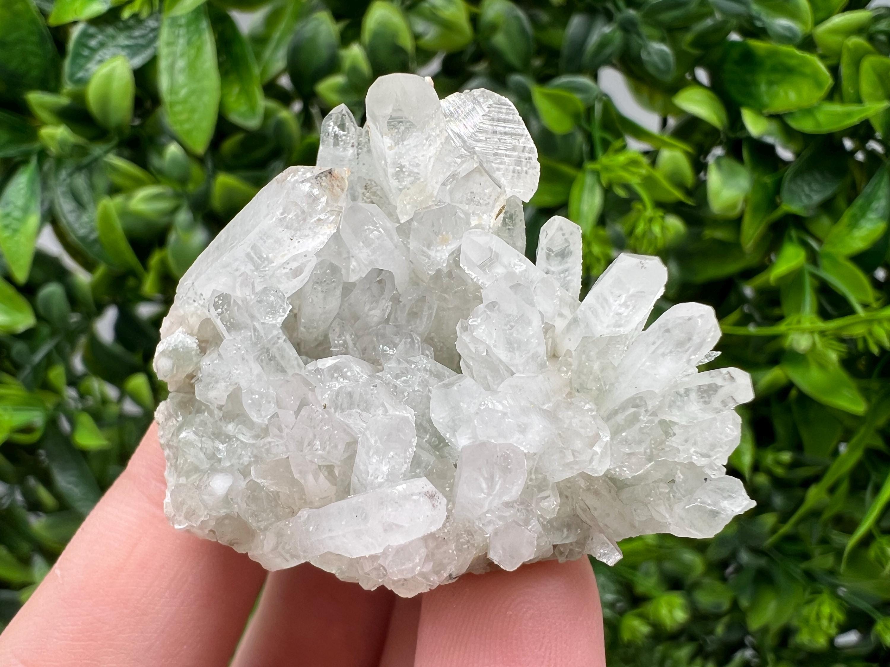 Wonderful Transparent Quartz on Chlorite Matrix,From Borieva mine,Madan,Bulgaria,Quartz,Quartz crystal,mineral specimen,collection quartz