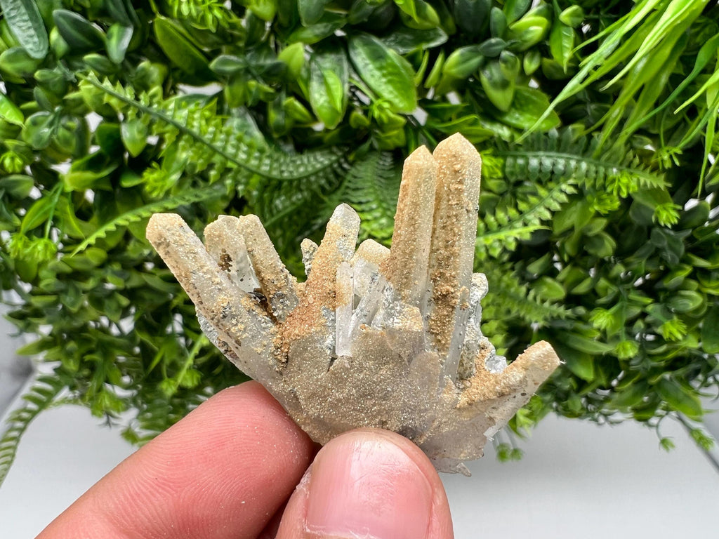 Quartz whit Brown Rhodochrosite from Djurcovo mine,Bulgaria,Quartz,Rhodochrosite cluster,natural mineral,collection crystal,mineral specimen