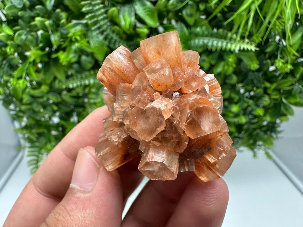 Aragonite Sputnik Cluster: Raw Moroccan Crystal Stone, Home Decor