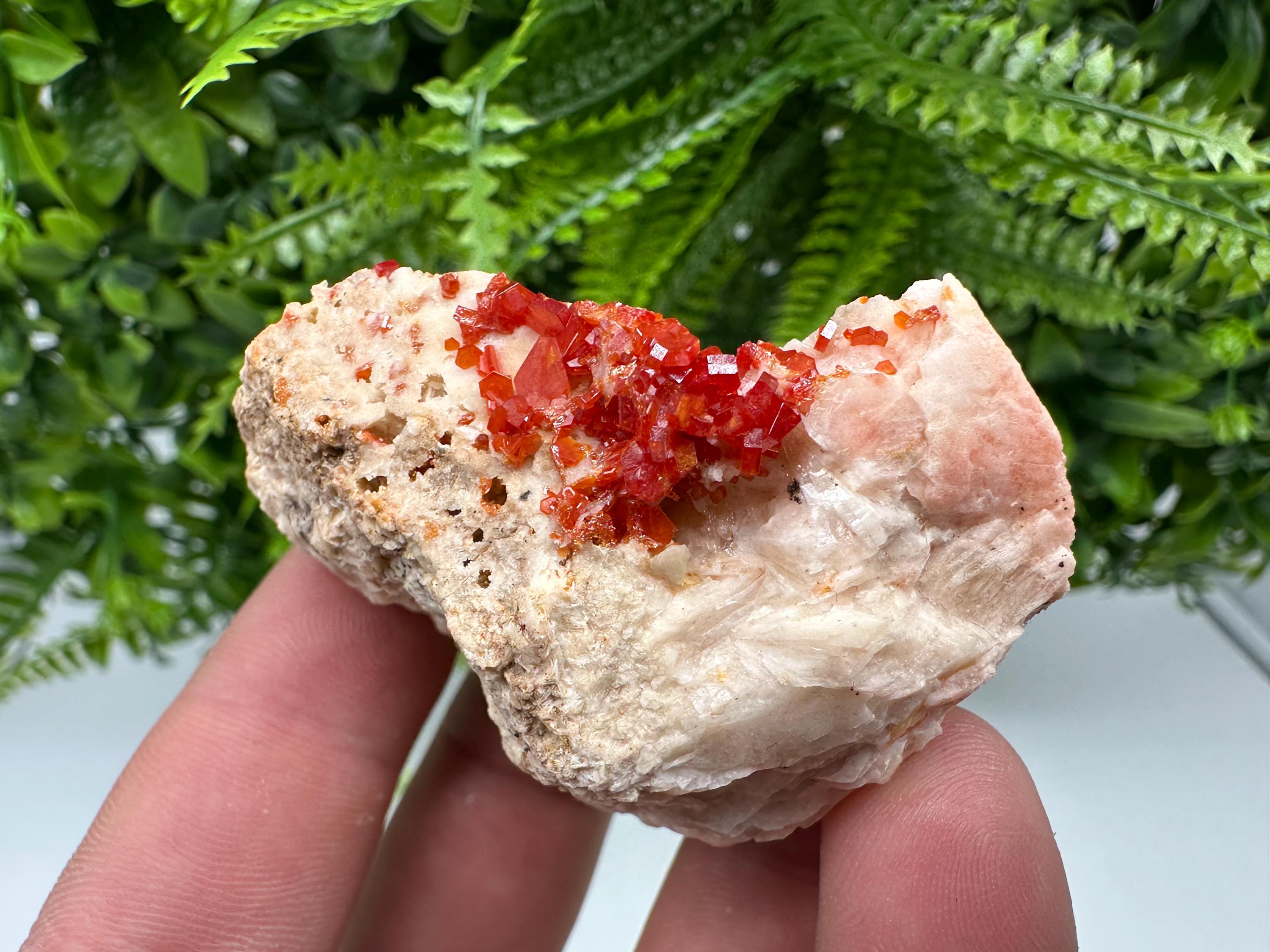 Red Vanadinite on Barite, Morocco Mineral Specimen