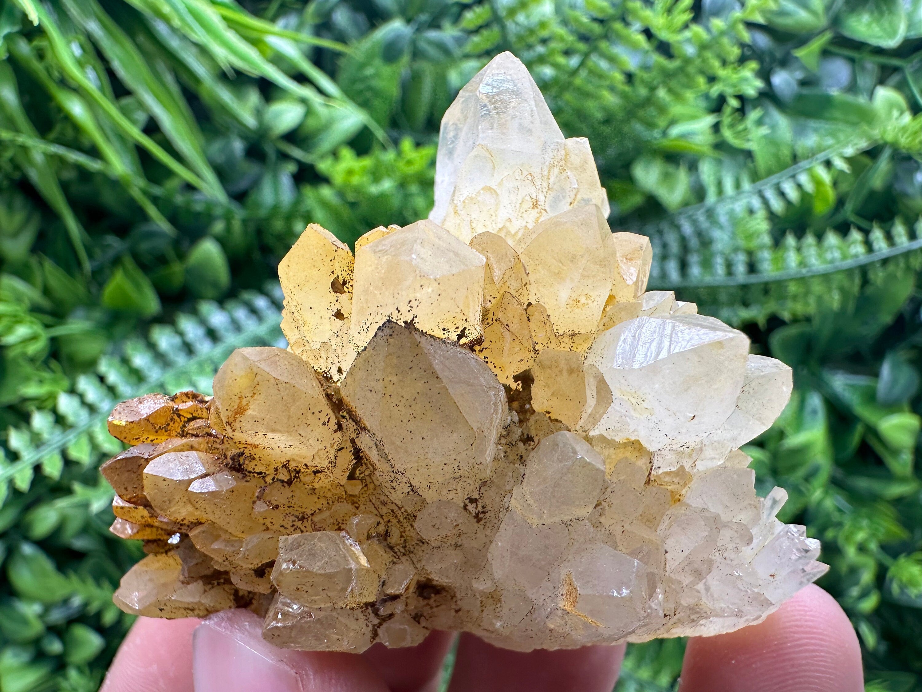 Transparent Quartz Cluster: Natural Mineral Specimen, Bulgaria