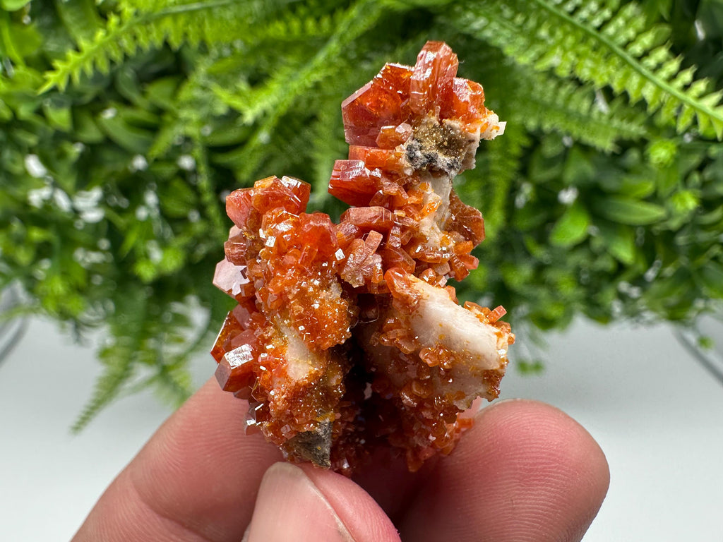 Red Vanadinite on Barite from Marocco,crystal minerals Speciment cluster Vanadinite crystal Vanadinite Geology Vanadinite cluster minerals