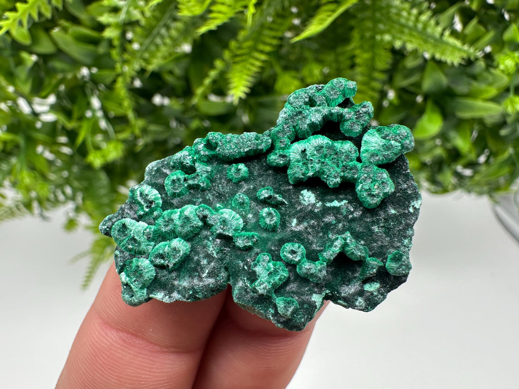 Green Malachite Crystal Specimen: Congo Minerals, Chakra Stone