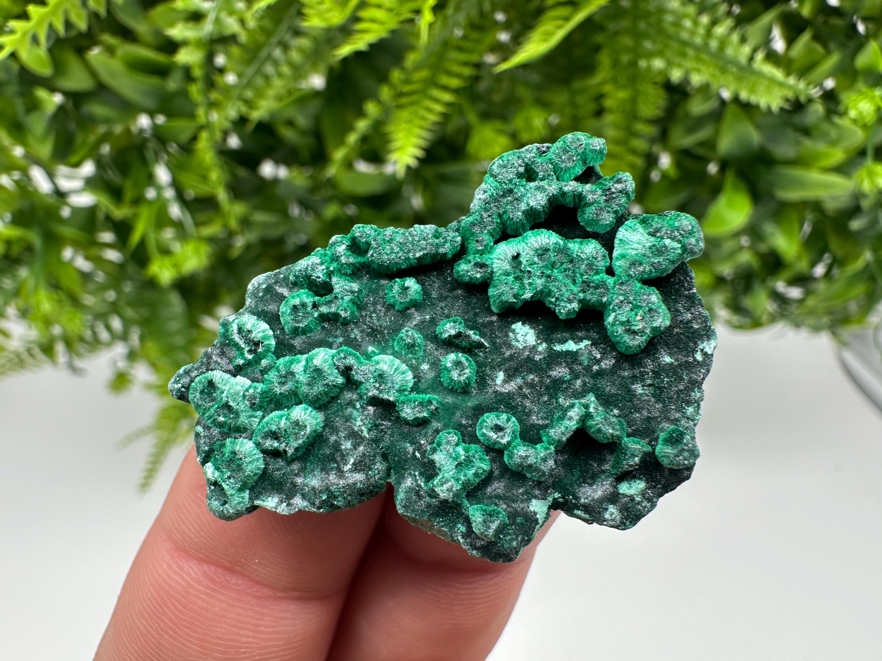 Green Malachite Crystal Specimen: Congo Minerals, Chakra Stone