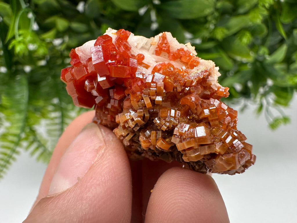 Red Vanadinite on Barite Specimen, Morocco Crystal Cluster