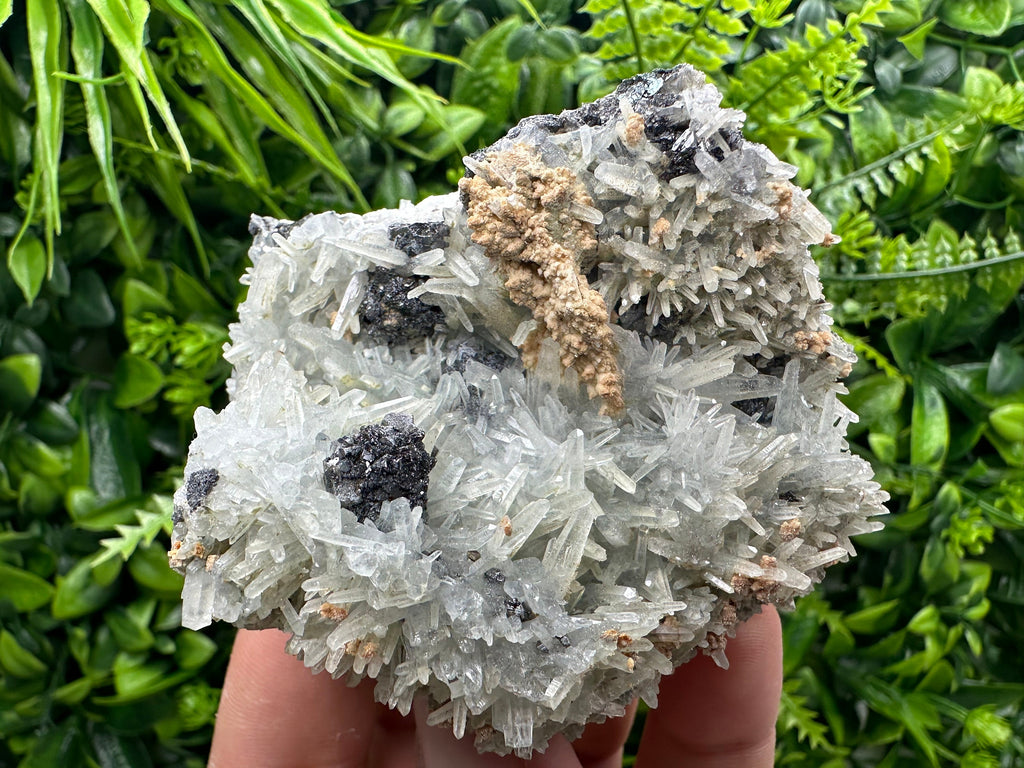 Sphalerite on Green Quartz, Bulgaria Mineral Specimen, Home Decor Stone